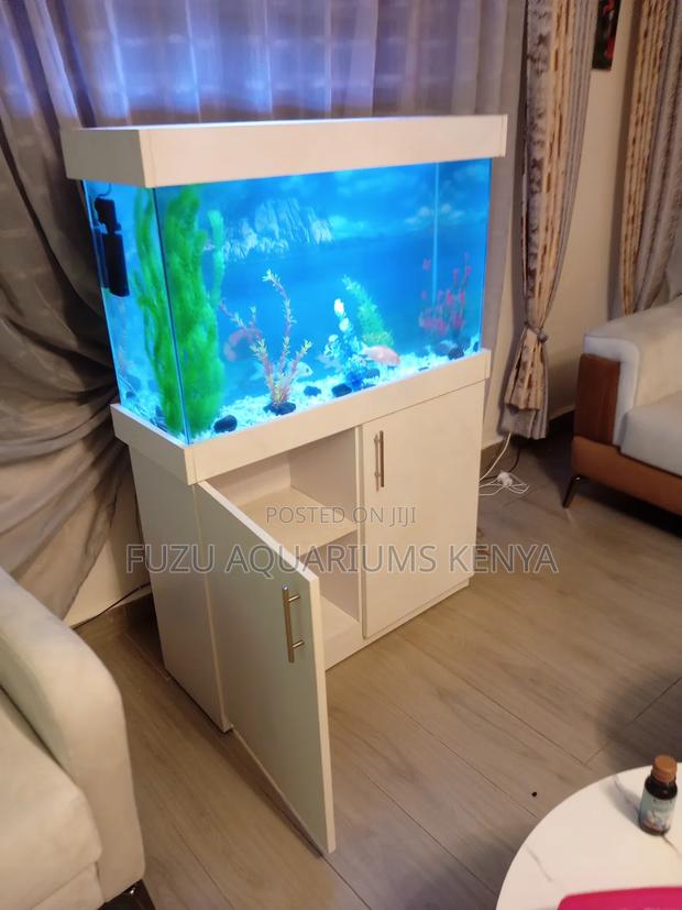 White Aquarium With Oceanic Features - main view