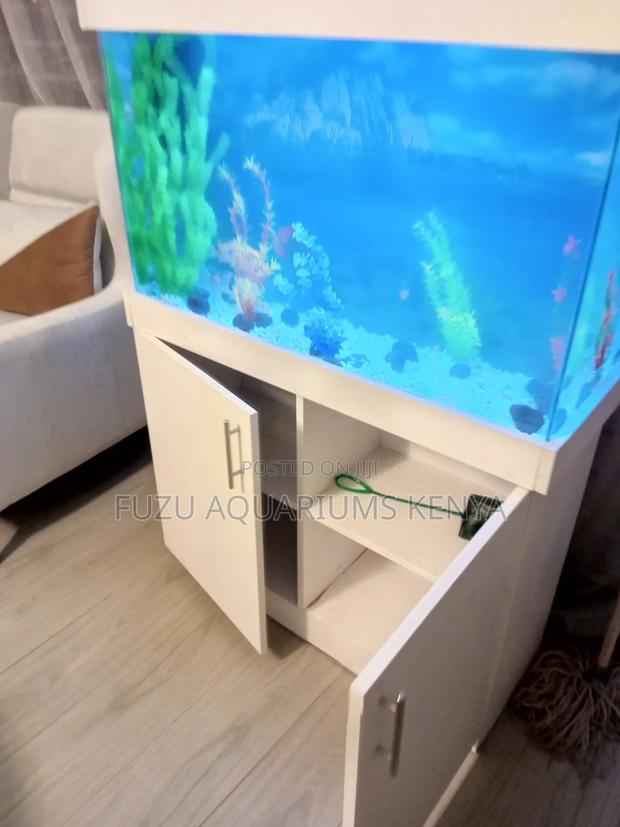 Fully Accessorized Aquarium With Storage Cabinet Beneath - main view