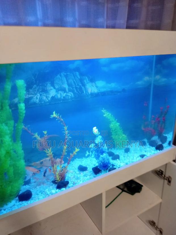 Fully Accessorized Aquarium With Storage Cabinet Beneath - thumbnail 3