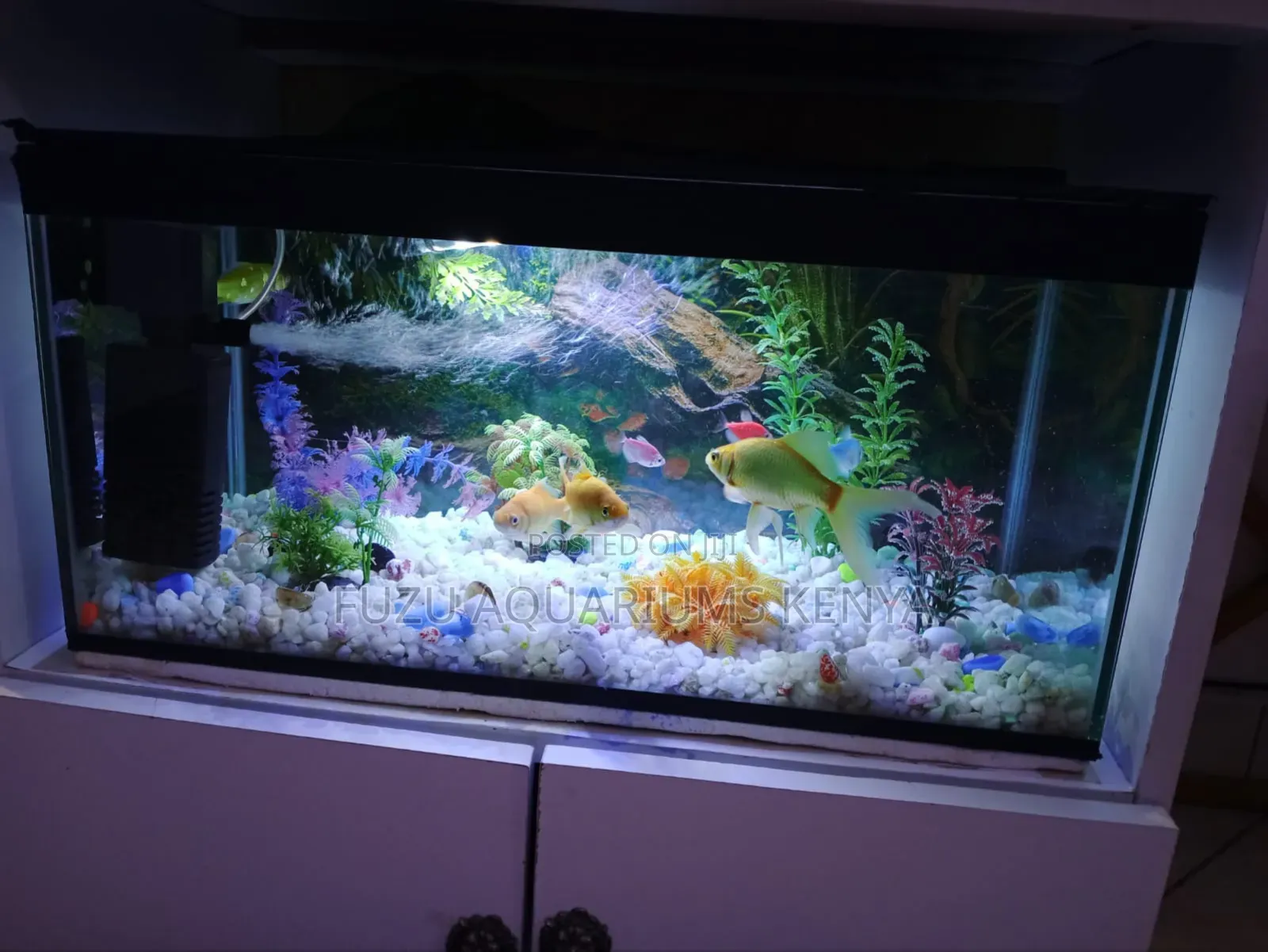 Beautiful Aquarium With Fish and Deco