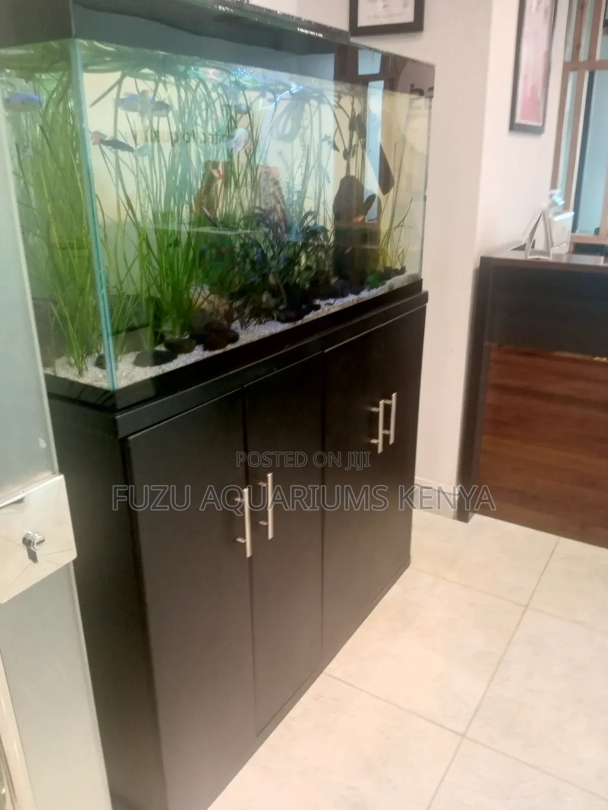 Planted Aquarium