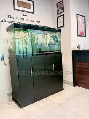Freshwater Planted Aquarium