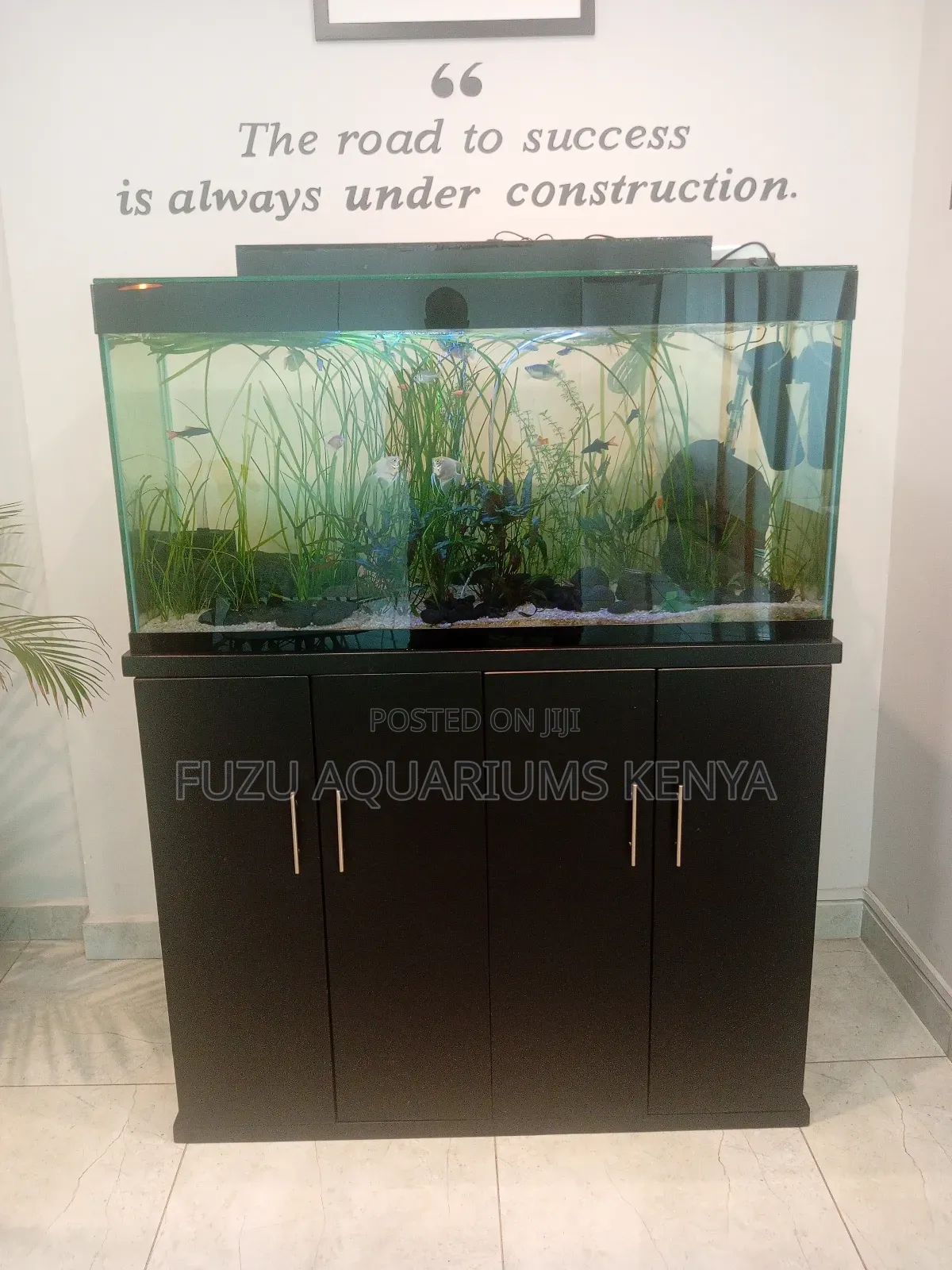Freshwater Planted Tank