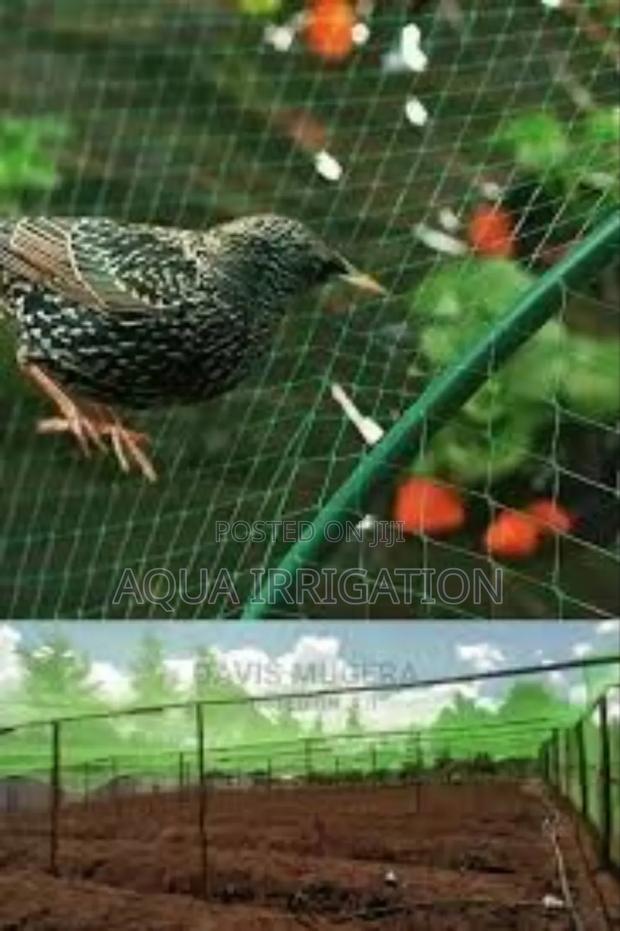 Ecocrop Bird Net – Sustainable Crop Protection - main view
