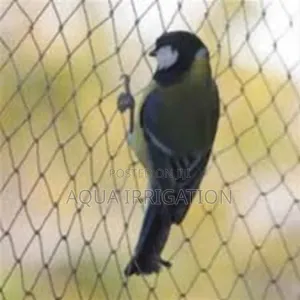 Vineyard Protect Net – Safeguard Grapes From Birds