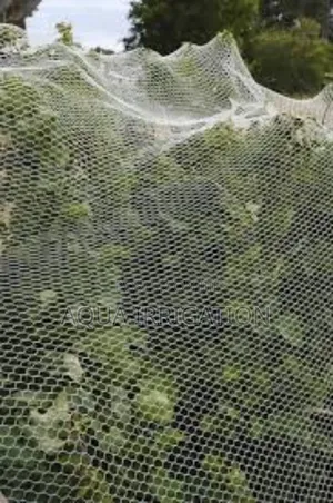 Orchardshield Net – Ideal for Fruit Orchards.