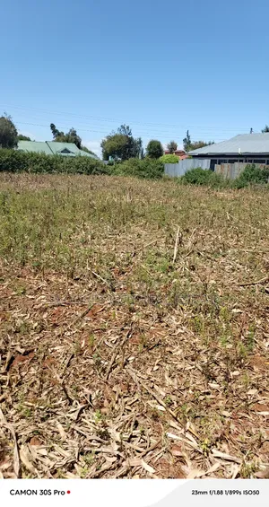 1/4 Plot Kimumu Mtungi Area.