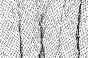 Bird Netting – Protect Crops Without Compromising Quality