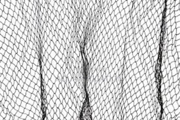 Bird Netting – Protect Crops Without Compromising Quality