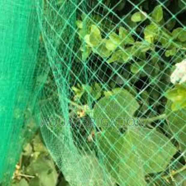 Yieldshield Netting – Boosts Yield by Preventing Bird Damage - main view