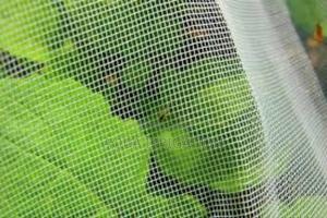 Bugblock Agrinet – Reliable Insect Prevention - thumbnail 2