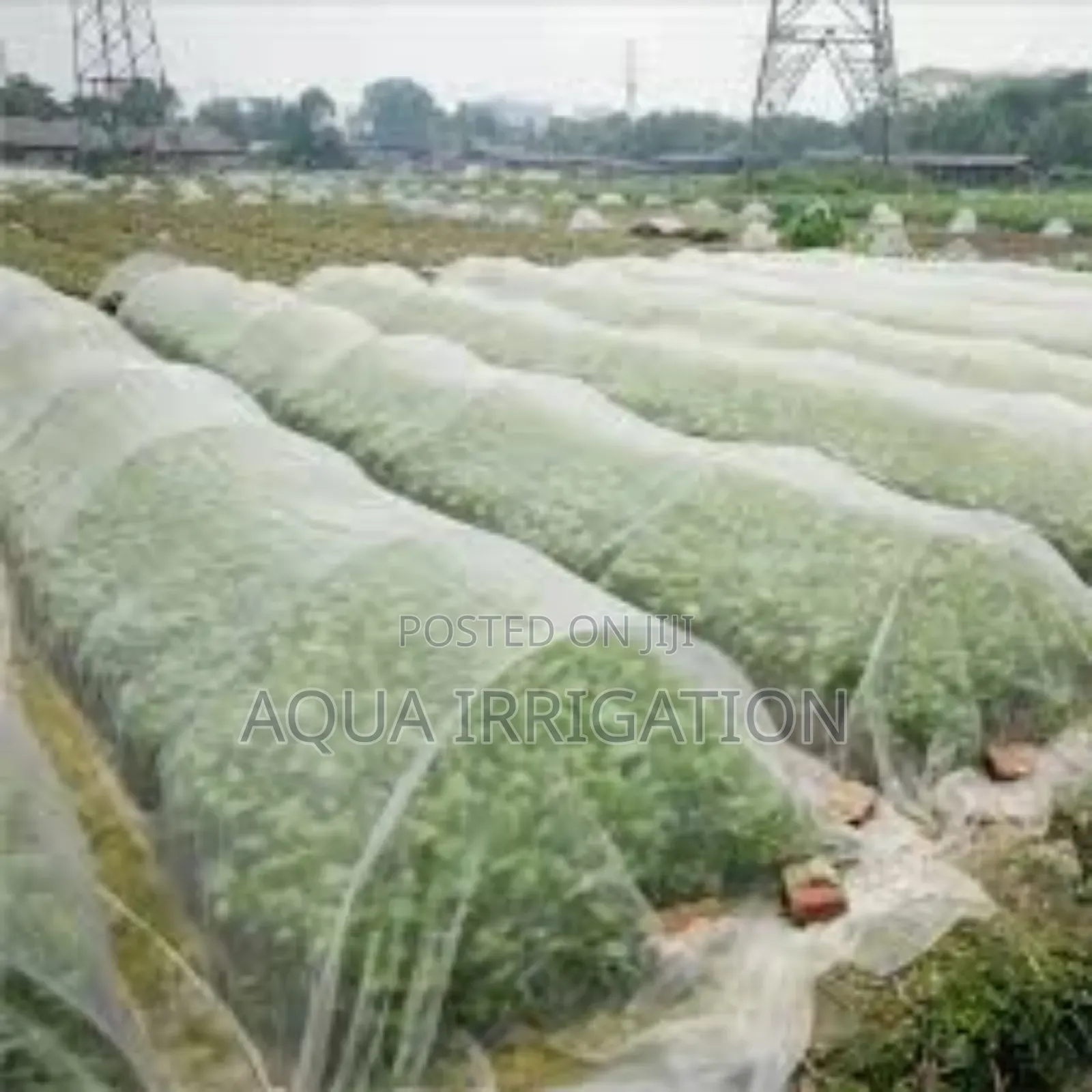 Vineyard Protect Insect Net – Ideal for Grapes and Vines