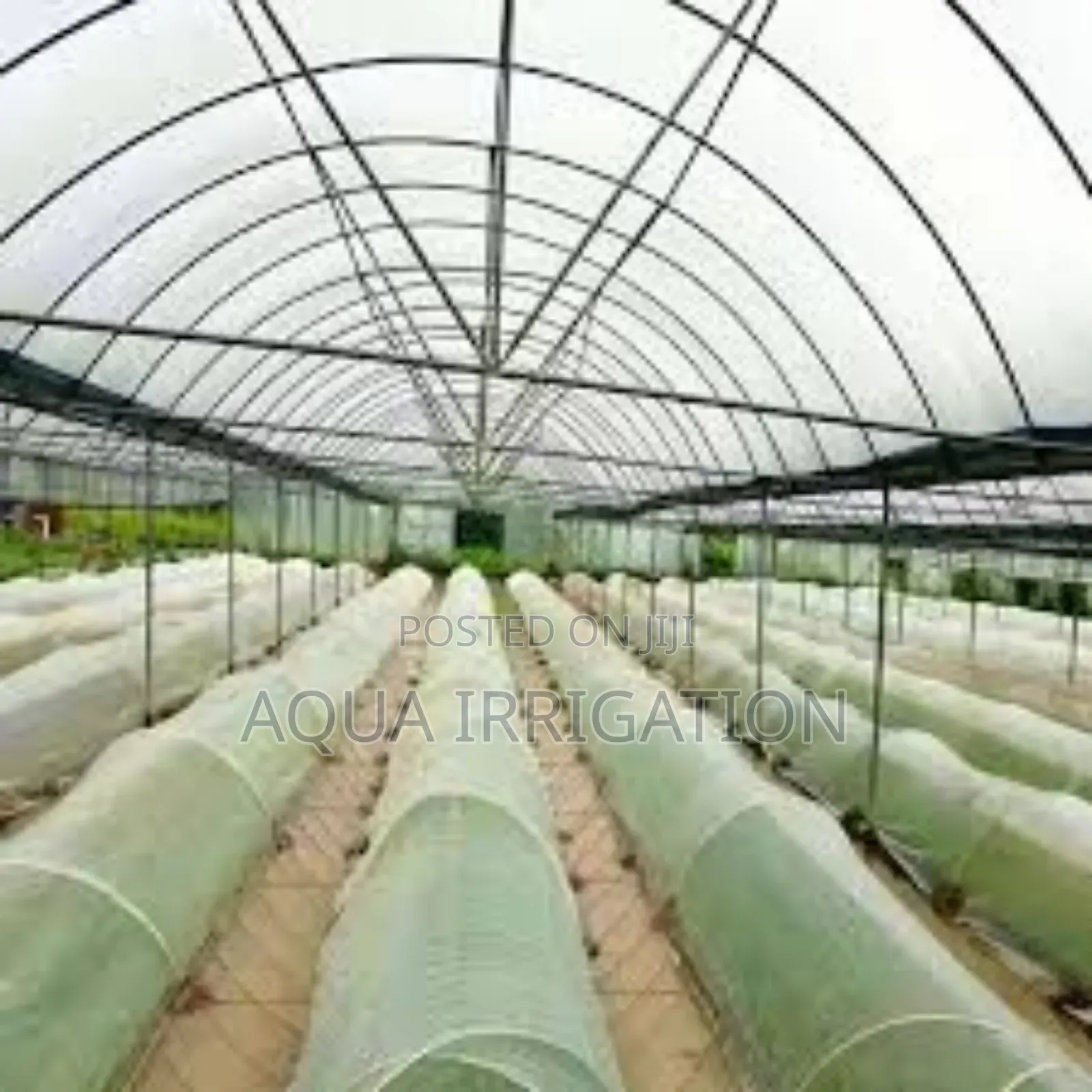 Vineyardsafe Insect Net – Specially Designed for Vineyard