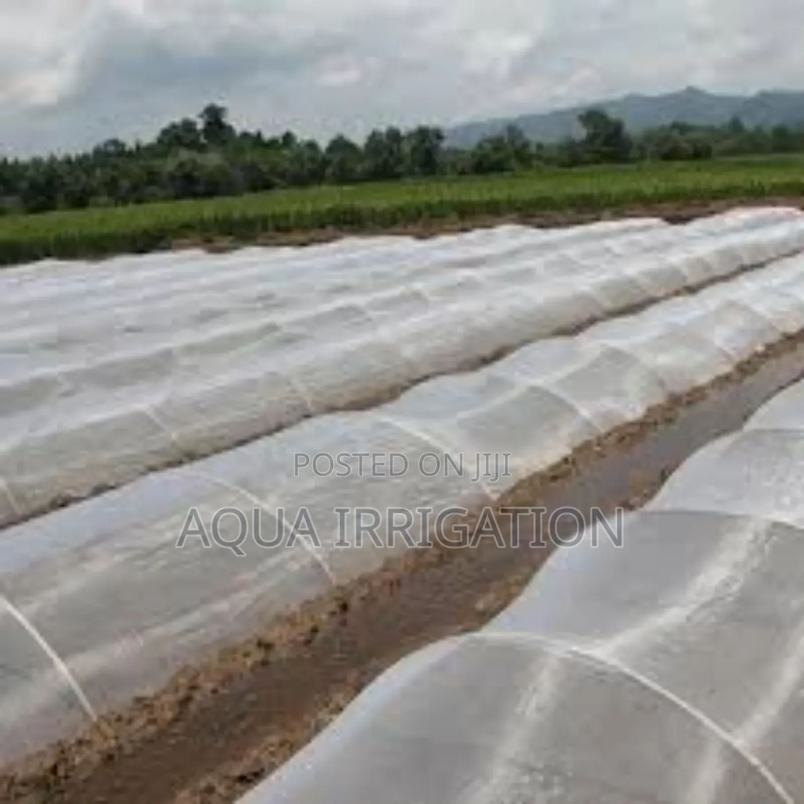 Orchardguard Pest Mesh – Shields From Harmful Insects
