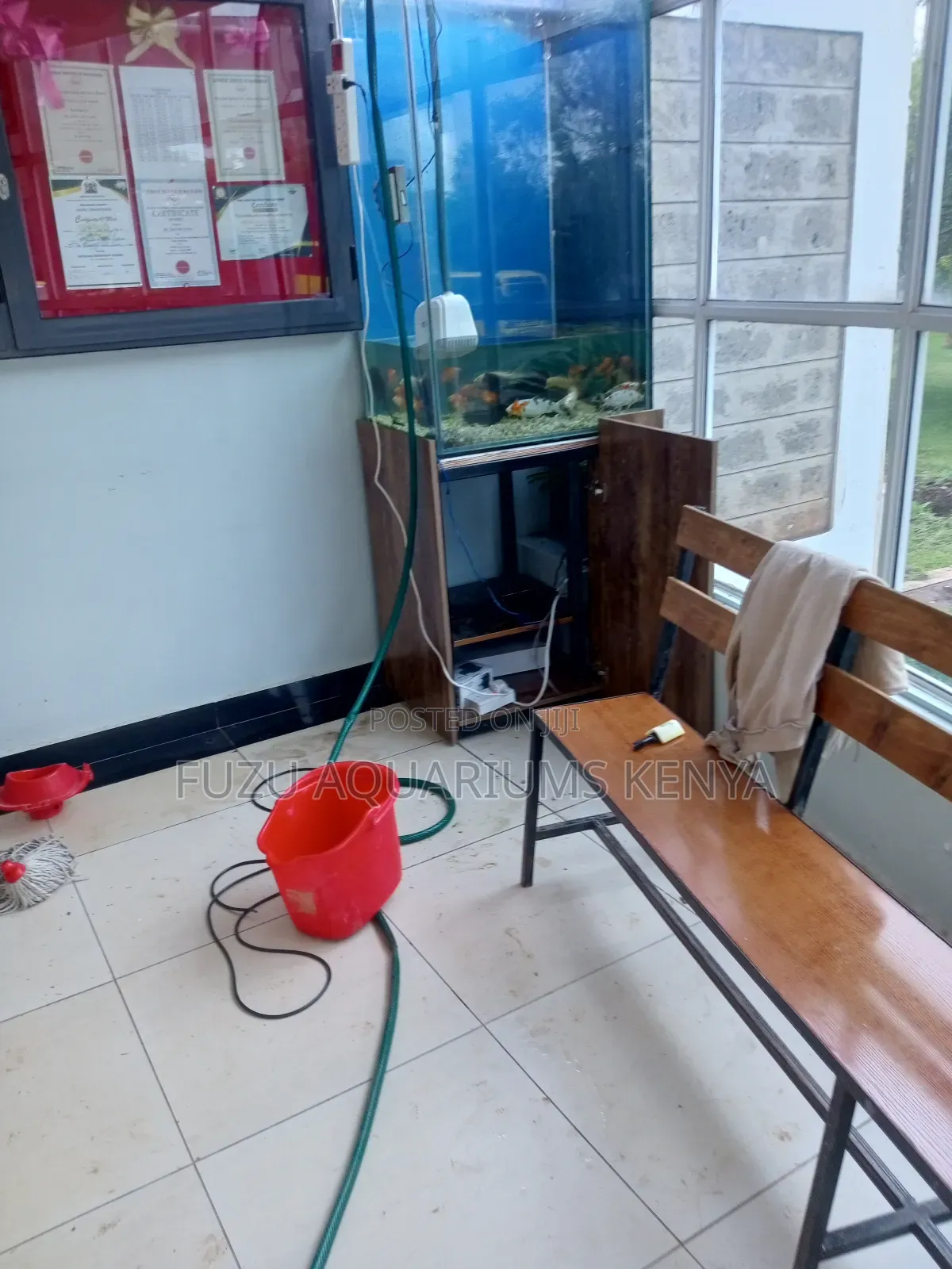 Aquarium Maintenance and Aquarium Service