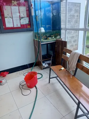 Aquarium Maintenance and Aquarium Service