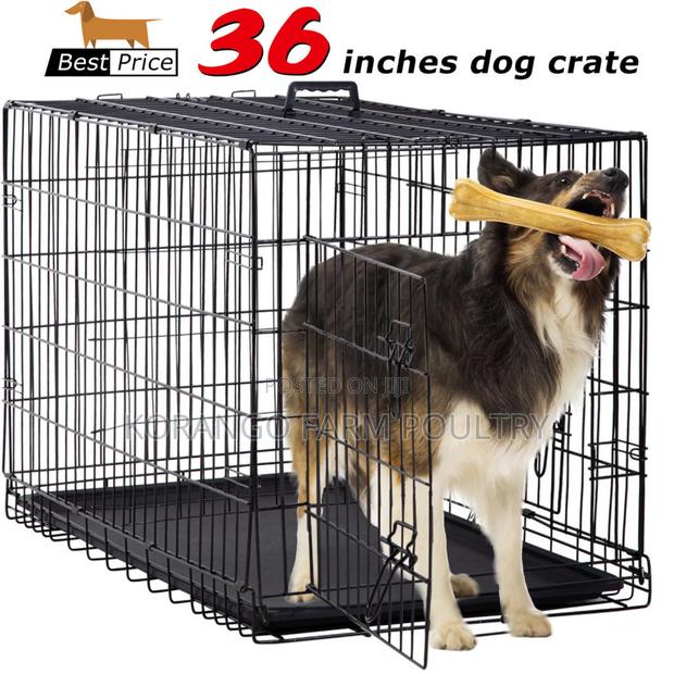 Extra Large Dog Cage - main view