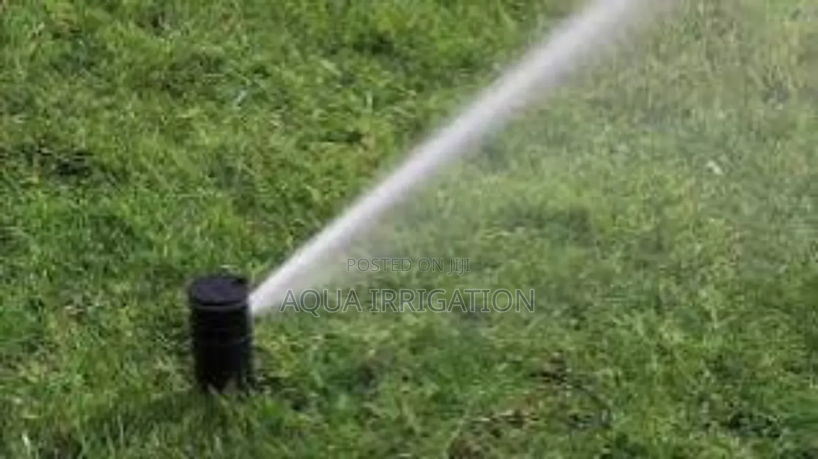 Greenmist Pop-Up Sprinkler – Gentle Spray for Even Watering
