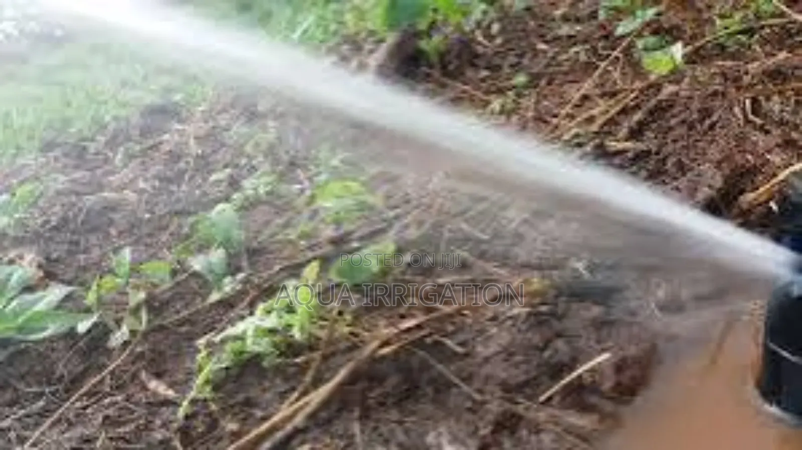 Pop-Up Sprinkler –Efficient Watering for Gardens and Lawns.