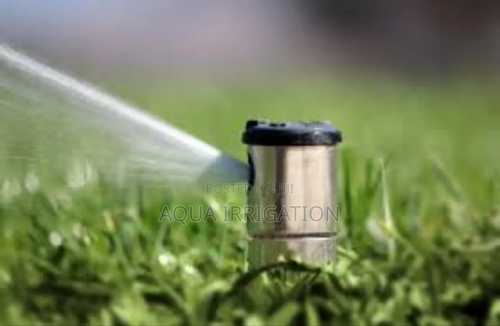 Lawnease Pop Sprinkler – Keeps Lawns Healthy and Hydrated