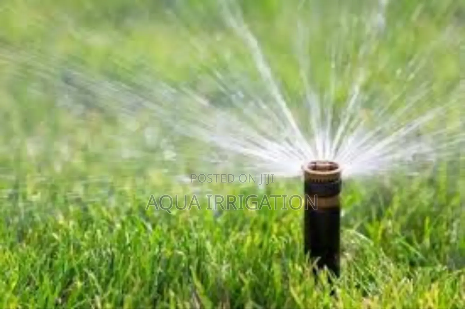 Ecomist Pop-Up Sprinkler – Sustainable Water-Saving Design