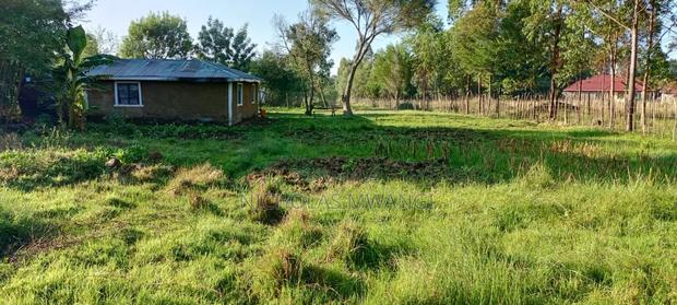 Half An Acre For Sale - thumbnail 4