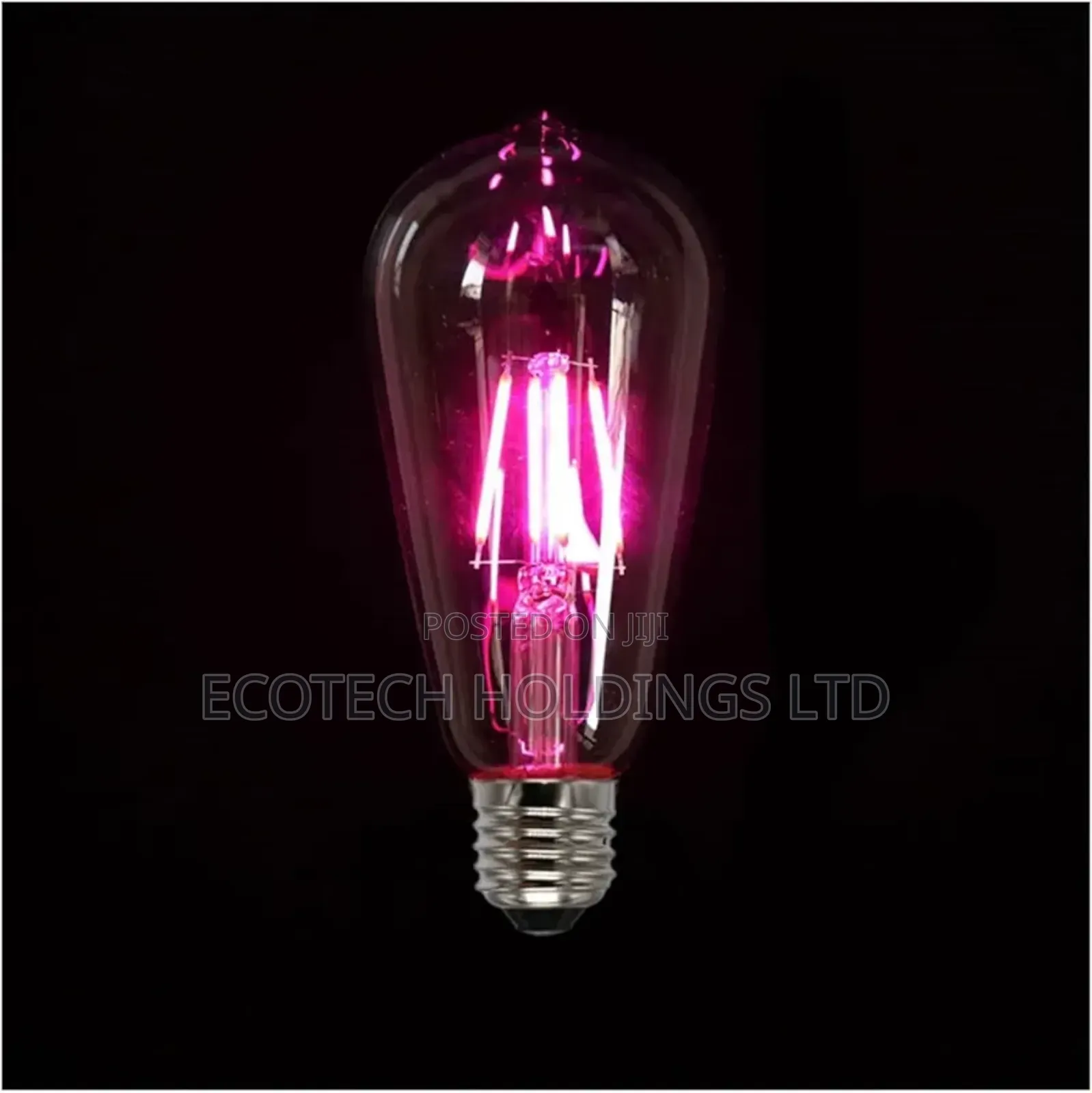 Elegant Purple Filament Bulb Jh9yf