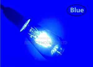 Blue Filament Bulb Jb9km