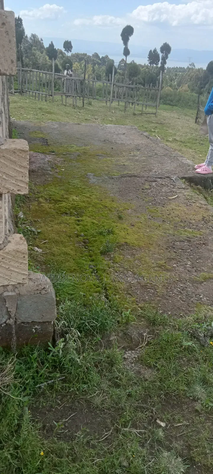 Plot on Sale at Kinungi Naivasha