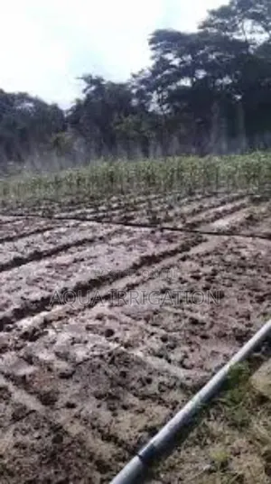 Aquaflow Rain Hose – Efficient Water Delivery for Crops