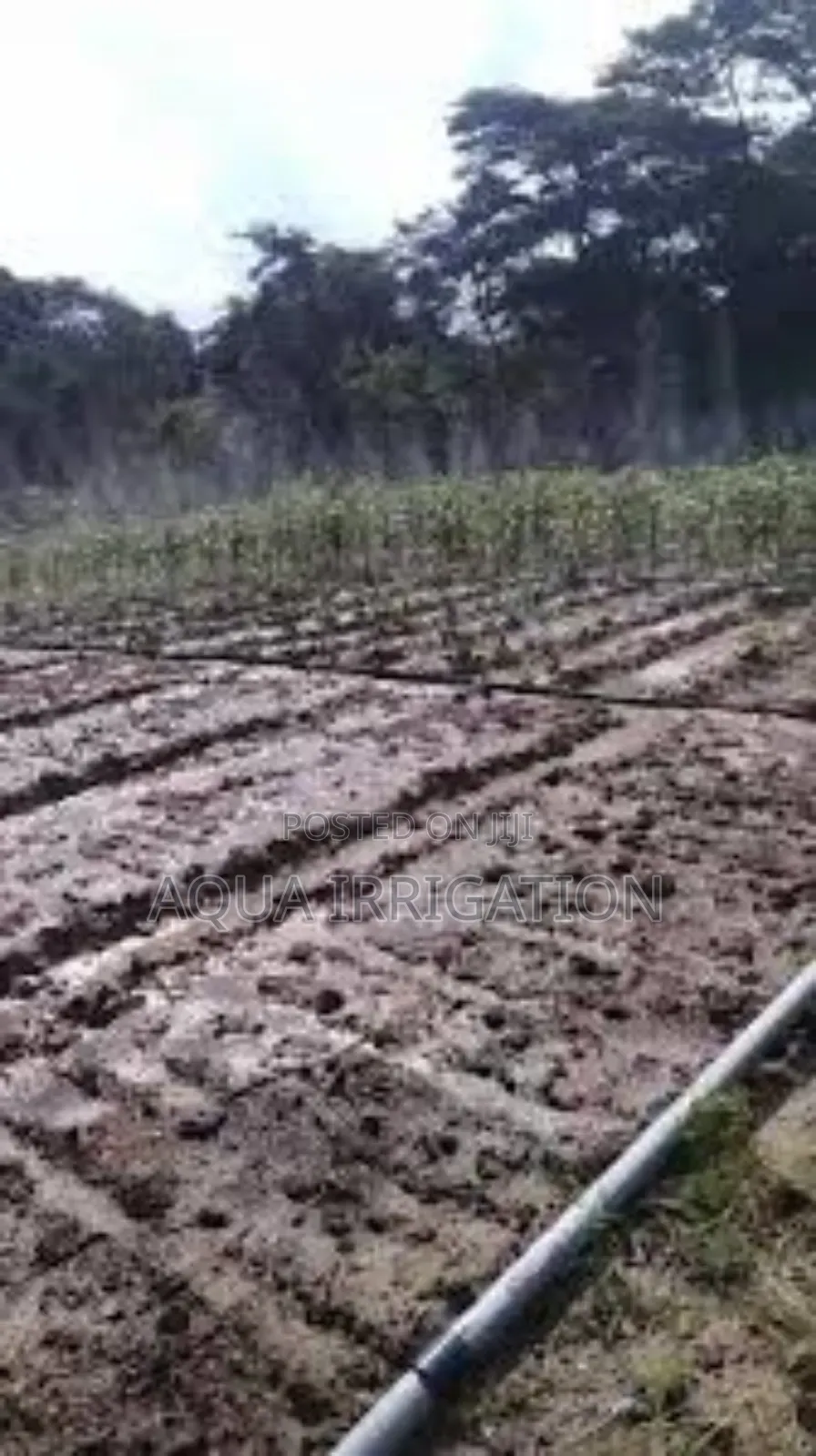Aquaflow Rain Hose – Efficient Water Delivery for Crops