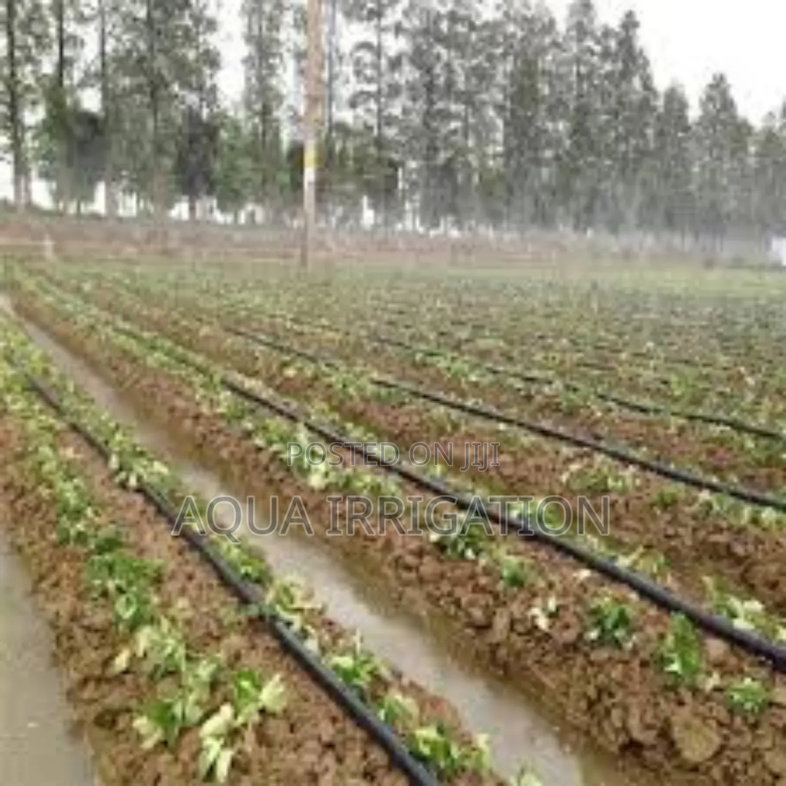 Rainease Irrigation Hose – Lightweight and Easy to Use