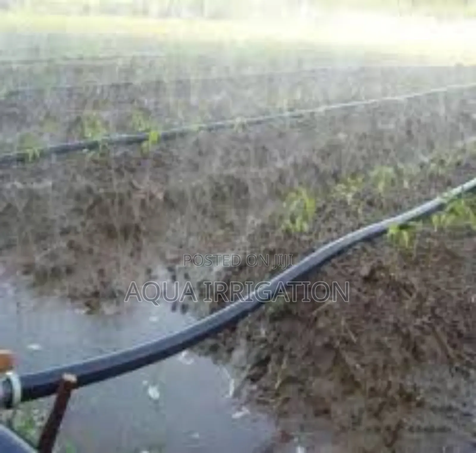 Farmflow Rain Hose – Designed for Agricultural Needs