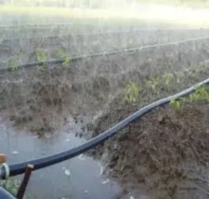 Farmflow Rain Hose – Designed for Agricultural Needs