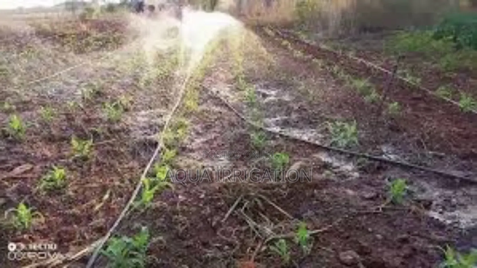 Ecospray Rain Hose – Sustainable Water Distribution.
