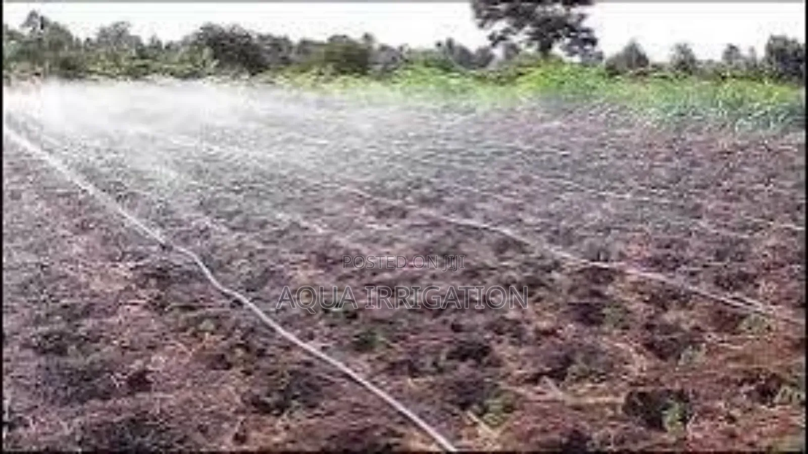 Aqualine Rain Hose – Ensures Even Water Distribution