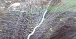 Hydroline Rain Hose – Durable and Flexible Design