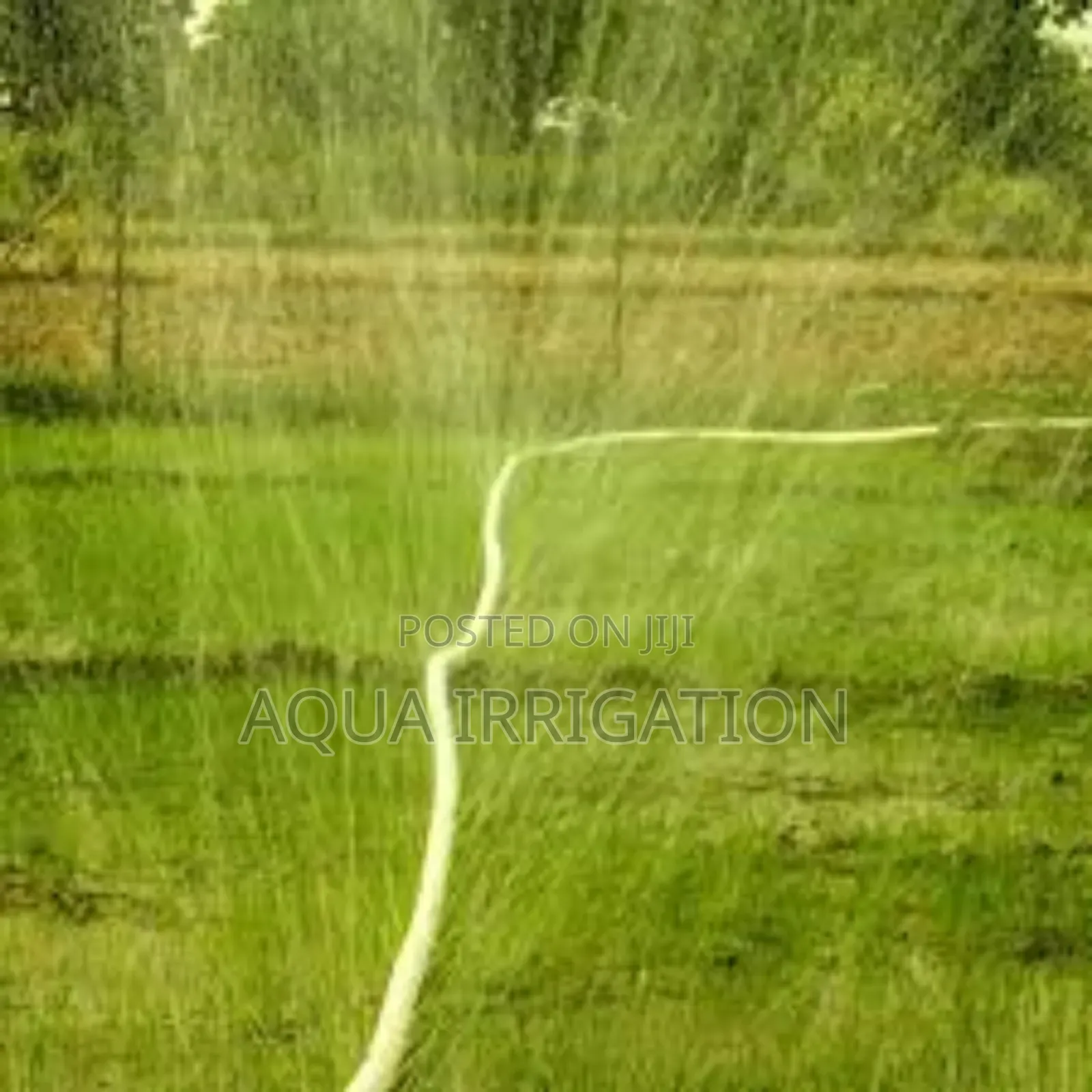 Greenspray Rain Hose – Keeps Plants Healthy and Hydrated