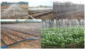Cropflow Rain Hose – Engineered for Maximum Efficiency - thumbnail 2