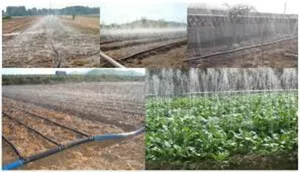 Cropflow Rain Hose – Engineered for Maximum Efficiency