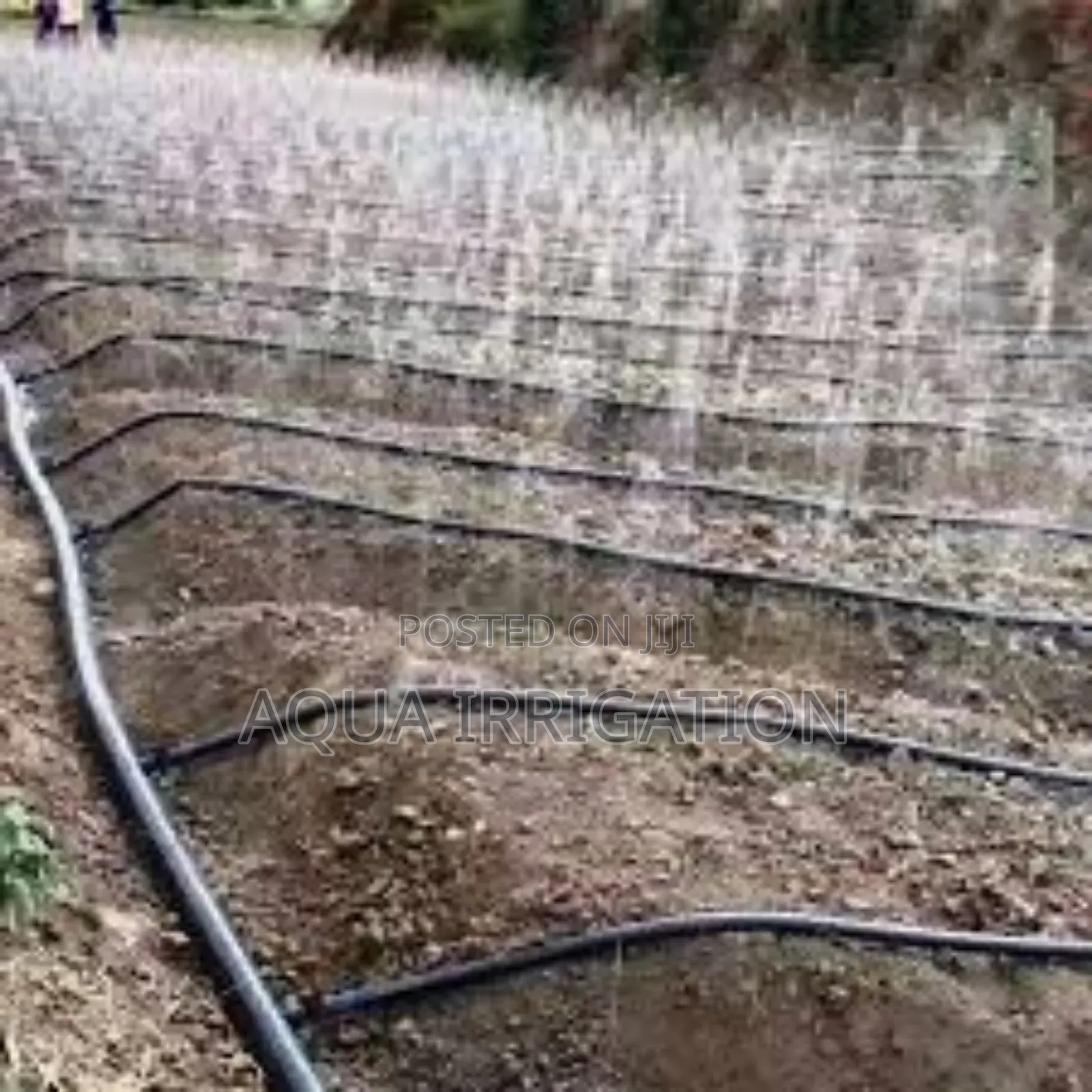 Aquapulse Rain Hose – Ensures Deep-Root Irrigation
