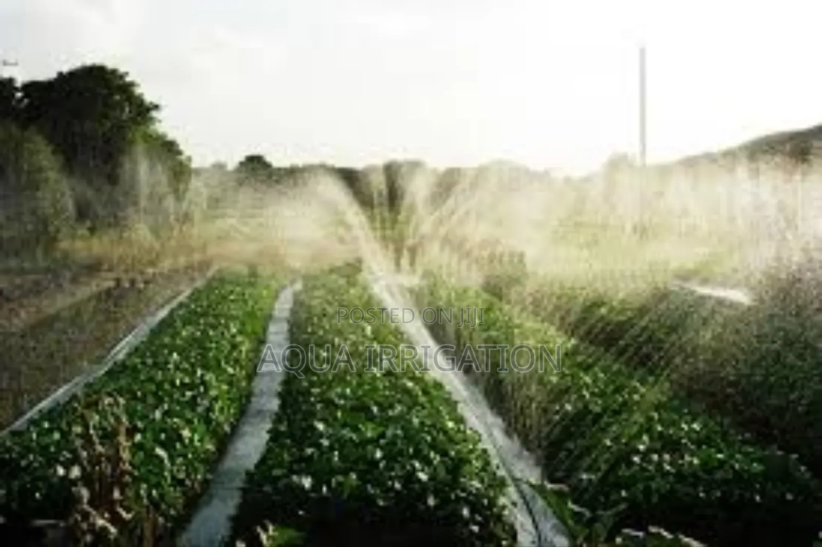 Waterwave Rain Hose – Smooth and Consistent Irrigation