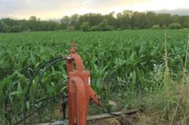 Lushline Rain Hose – Ideal for Vibrant and Healthy Growth