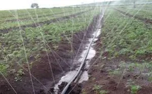 Greenflow Rain Hose – For Eco-Friendly Watering Solutions