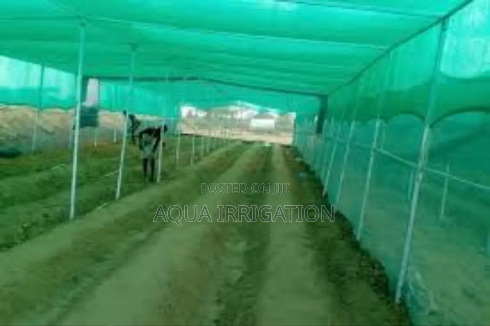 Agrishade Net – Protects Crops From Harsh Sunlight