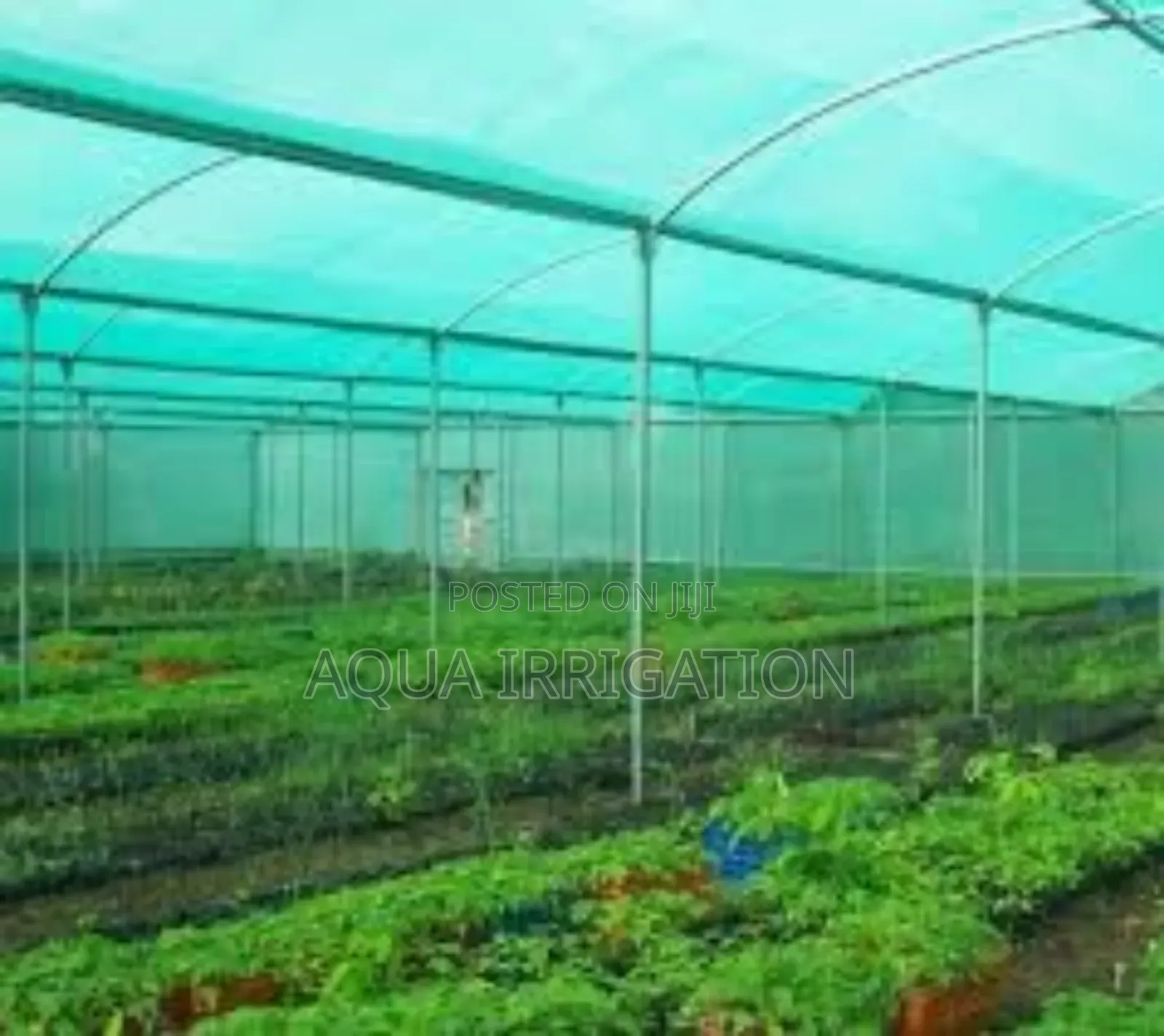 Greencover Shade Net – Ensures Optimal Growth Conditions