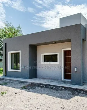 Wall Master Skimming Wall Effects Interior Exterior Paint