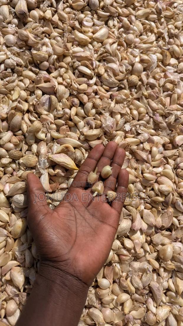 Garlic Seed - thumbnail 8