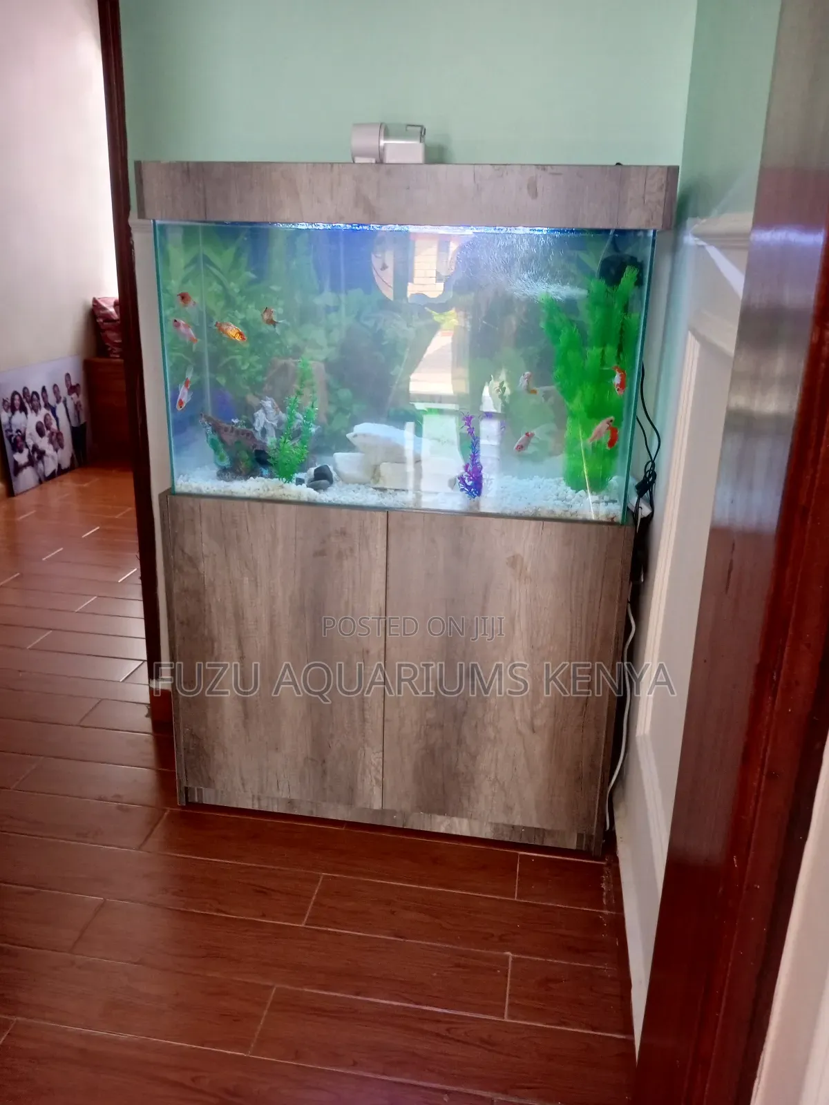 Fresh Water Aquarium Set Up