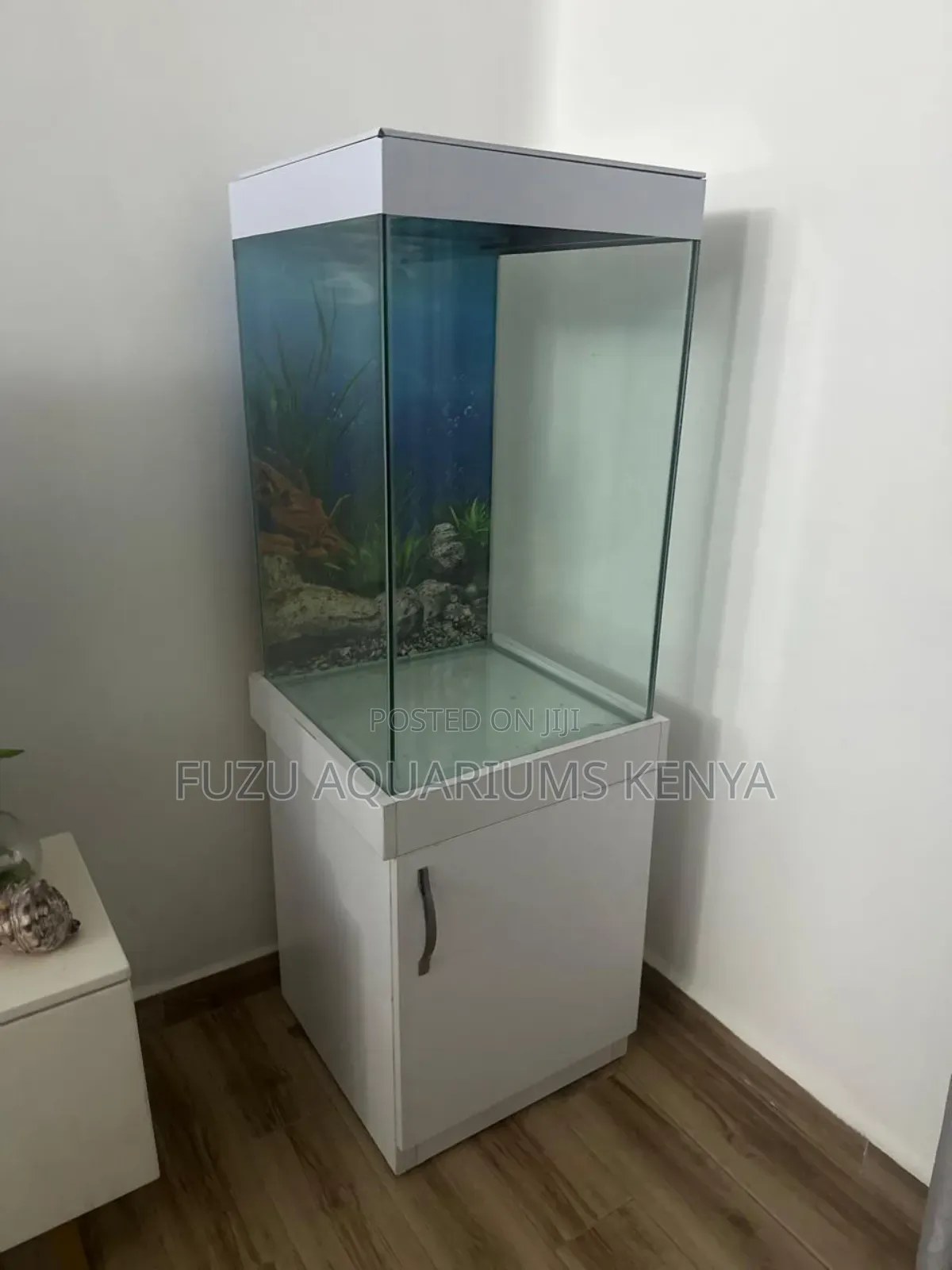 Unique Corner Aquarium